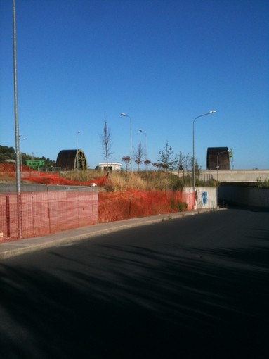 Diano Marina: dove è in costruzione la nuova stazione stanno prematuramente morendo alcuni pini piantati un anno fa