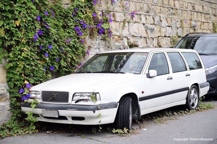 Foto di Tonino Bonomo Foto di Tonino Bonomo