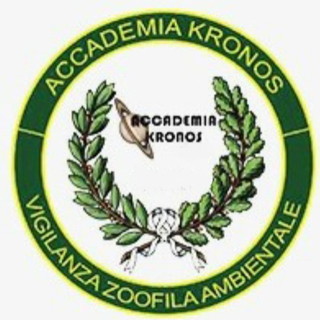 Cani in auto sotto i raggi del sole, l'Accademia Kronos rivolge un appello ai Sindaci dei Comuni del ponente: "Aumentate i controlli" Cani in auto sotto i raggi del sole, l'Accademia Kronos rivolge un appello ai Sindaci dei Comuni del ponente: "Aumentate i controlli"