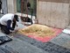 Sanremo: artista di strada amante dei cani, produce statue di sabbia in via Matteotti (Foto)
