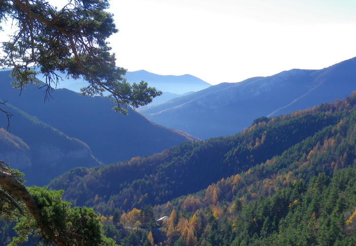 Domenica prossima un'escursione all'Anello del Plin in Valle Argentina con la guida Antonella Piccone