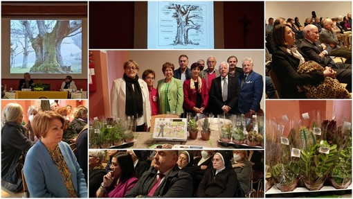 A Ventimiglia conferenza sugli alberi monumentali tra natura e cultura: service dei Lions a tutela dell'ambiente (Foto e video) A Ventimiglia conferenza sugli alberi monumentali tra natura e cultura: service dei Lions a tutela dell'ambiente (Foto e video)