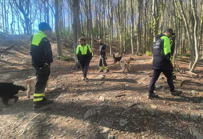 Pigna, da circa 36 ore nessuna traccia di Marcello Tamburrini: proseguono senza sosta le ricerche dell'80enne disperso Pigna, da circa 36 ore nessuna traccia di Marcello Tamburrini: proseguono senza sosta le ricerche dell'80enne disperso