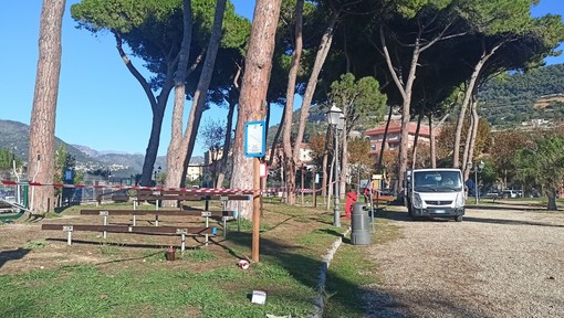 Alberi da abbattere a Ventimiglia, Italia Nostra Ponente Ligure: "Cercare il parere addizionale di uno studio specializzato per trovare alternative" Alberi da abbattere a Ventimiglia, Italia Nostra Ponente Ligure: "Cercare il parere addizionale di uno studio specializzato per trovare alternative"