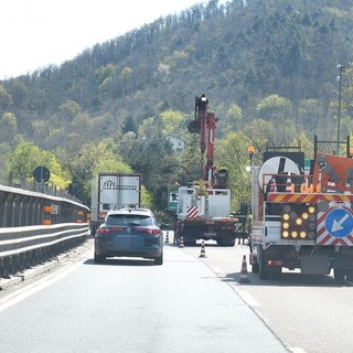 La petizione per chiedere la gratuità dell'Autofiori ha raggiunto quota 2.800 firme