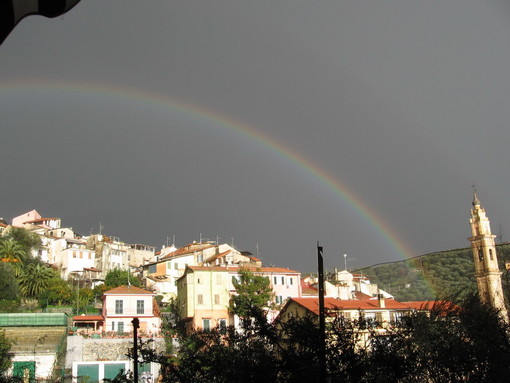 Imperia: cani pericolosi tra Artallo e San Benedetto, lettrice chiede aiuto Imperia: cani pericolosi tra Artallo e San Benedetto, lettrice chiede aiuto