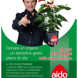 L'Aido Imperiese prenderà parte alla Giornata Nazionale di informazione sulla Donazione degli Organi