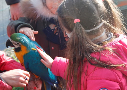 Giovedì prossimo gli alunni della Primaria di Cervo alla scoperta del centro 'Terra di Confine' a Taggia