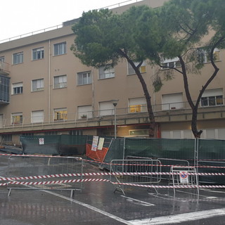 Maltempo sul Ponente: albero pericolante e zona transennata nel parcheggio dell'ospedale di Imperia