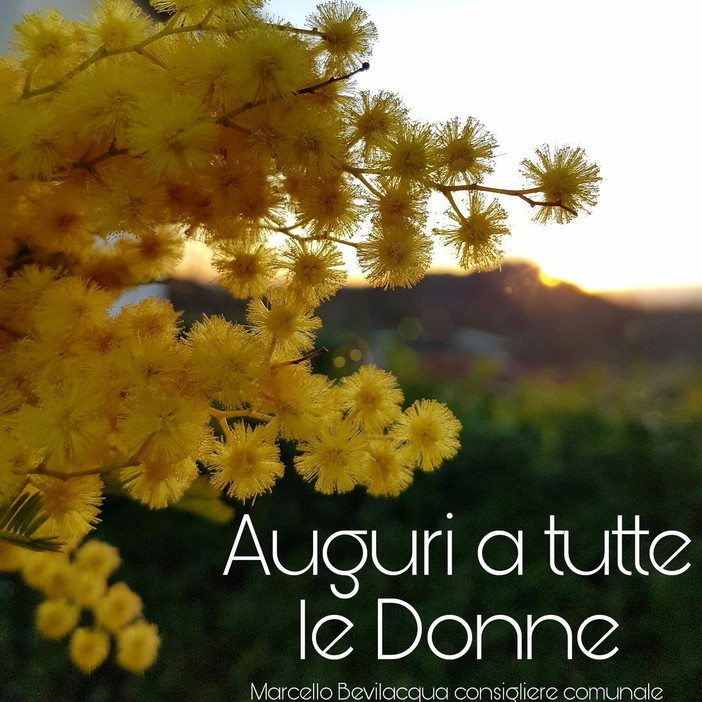 Ventimiglia: Festa della Donna, Bevilacqua “Dedichiamola a tutte le donne che stanno combattendo contro atrocità” Ventimiglia: Festa della Donna, Bevilacqua “Dedichiamola a tutte le donne che stanno combattendo contro atrocità”