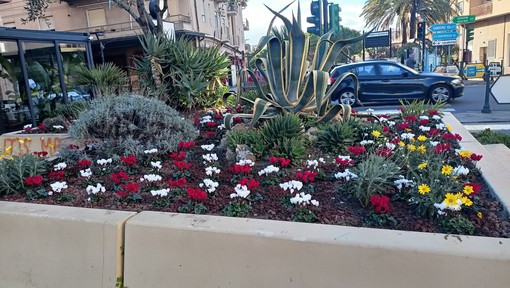 Vallecrosia, i consiglieri Perri e Simonetta: "Il verde pubblico è un palese fallimento di quest’amministrazione”