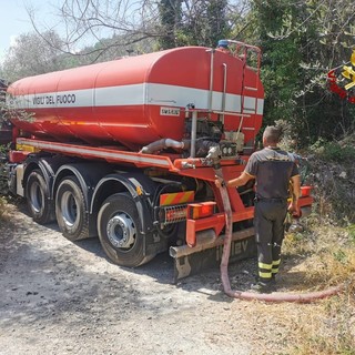 Sanremo: 51 mucche senz'acqua a Monte Bignone, ieri i Vigili del Fuoco hanno portato 15mila litri