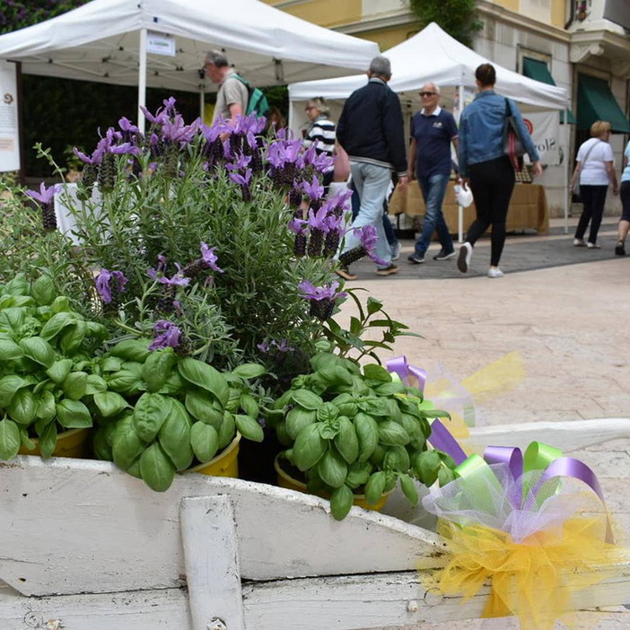 Quarta e ultima giornata a Diano Marina e nel golfo: tre conferenze e due cooking show, gran finale oggi per ‘Aromatica’ Quarta e ultima giornata a Diano Marina e nel golfo: tre conferenze e due cooking show, gran finale oggi per ‘Aromatica’