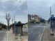 Camporosso, Gibelli a Morabito: "Gli alberi pericolosi sono stati rimossi la scorsa primavera" (Foto) Camporosso, Gibelli a Morabito: "Gli alberi pericolosi sono stati rimossi la scorsa primavera" (Foto)
