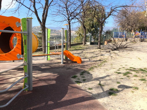 Sanremo: albero spezzato dalla forza del vento in un parco giochi per bambini a Bussana (Foto)