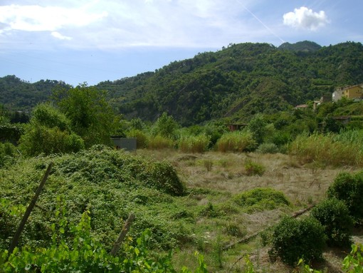 L'area in cui verrà realizzato il parcheggio L'area in cui verrà realizzato il parcheggio