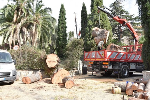 I lavori in via Torquato Tasso I lavori in via Torquato Tasso