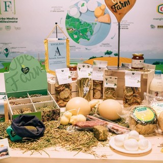 Conduzioni Agricole Forte lancia il Vision Lab, un nuovo spazio per la sostenibilità e difesa della tradizione Conduzioni Agricole Forte lancia il Vision Lab, un nuovo spazio per la sostenibilità e difesa della tradizione