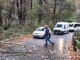 Maltempo sulla nostra provincia: Vigili del Fuoco al lavoro per liberare alcune strade da alberi caduti