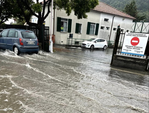 Camporosso: strade, campi e serre allagate, la disperazione del coltivatore Marco Damele (Foto) Camporosso: strade, campi e serre allagate, la disperazione del coltivatore Marco Damele (Foto)