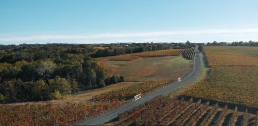 L’aumento dei costi colpisce l’intera filiera agroalimentare: cosa aspettarsi dal 2024? L’aumento dei costi colpisce l’intera filiera agroalimentare: cosa aspettarsi dal 2024?