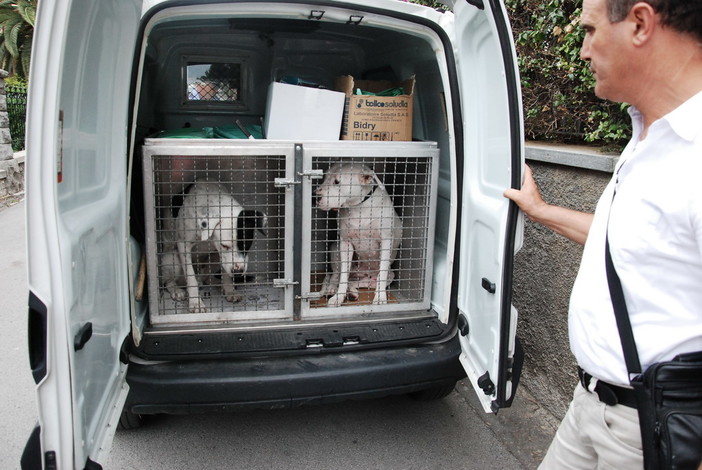 Sanremo: lettera aperta sui due Dogo Argentina di via Marinella, la risposta di una lettrice Sanremo: lettera aperta sui due Dogo Argentina di via Marinella, la risposta di una lettrice
