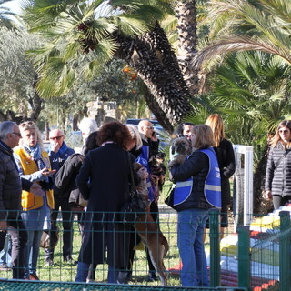 Sanremo: inaugurata questa mattina sul lungomare Italo Calvino la nuova area dedicata ai cani (Foto e Video) Sanremo: inaugurata questa mattina sul lungomare Italo Calvino la nuova area dedicata ai cani (Foto e Video)
