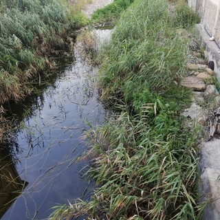 Santo Stefano al Mare: inquinamento alla foce del rio Santa Caterina, il PD chiede l'intervento del sindaco