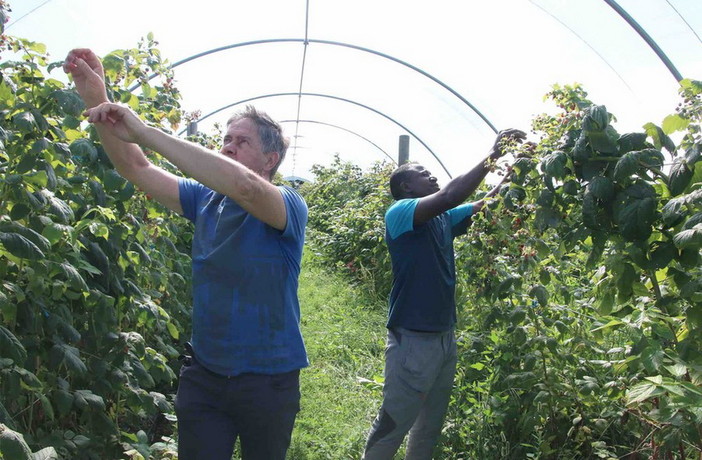 (immagine generica d'archivio)