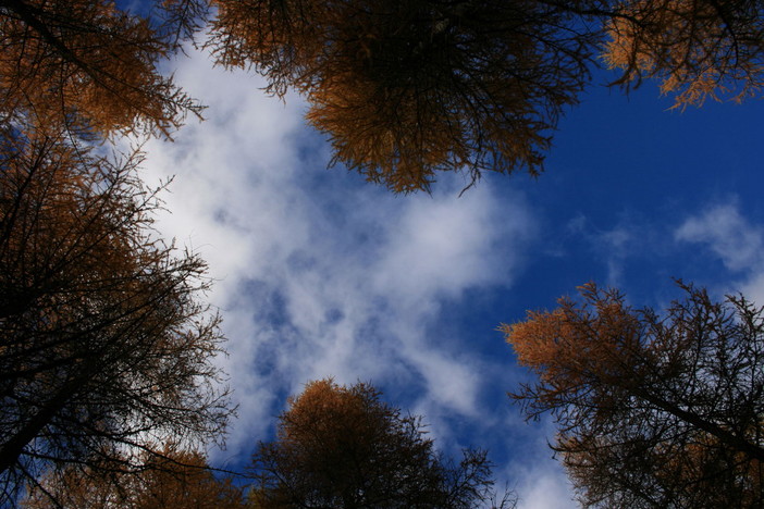 Tutti gli appuntamenti e manifestazioni da lunedì 22 a domenica 28 gennaio in Riviera e Côte d'Azur