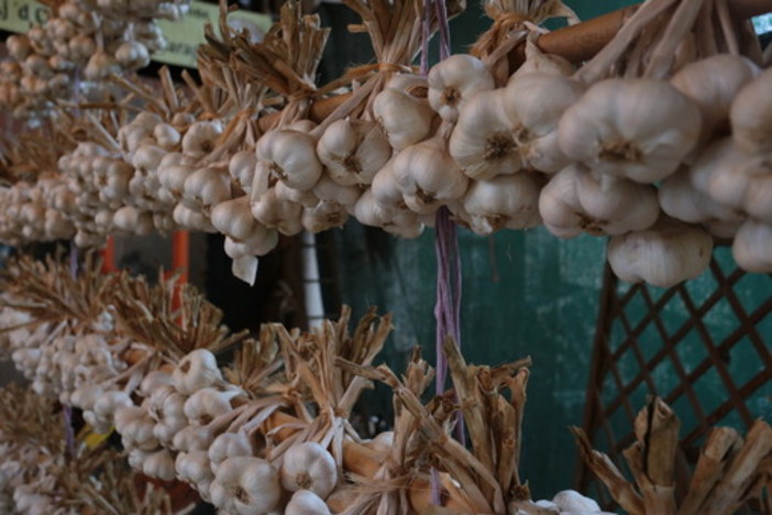 A Caraglio arriva la prima sagra della 'bagna caöda' fatta rigorosamente con l'Aj d'Caraj (Video)