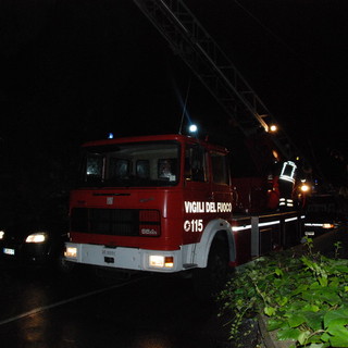 Vento forte in tutta la provincia: serie di interventi dei Vigili del Fuoco per rami caduti ed alberi pericolanti