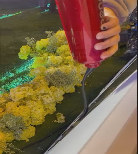 Sanremo: l'incursione di Greenpeace rovina la pavimentazione di via Matteotti, il comune chiederà i danni (Foto e Video) Sanremo: l'incursione di Greenpeace rovina la pavimentazione di via Matteotti, il comune chiederà i danni (Foto e Video)