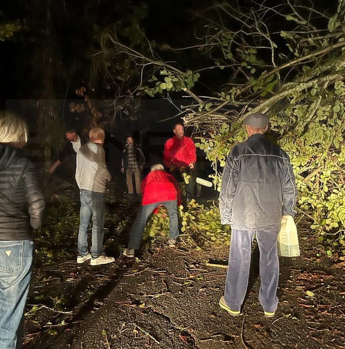 Albero cade sulla strada per Perinaldo: sindaco e operai al lavoro per far rientrare a casa le famiglie (Foto) Albero cade sulla strada per Perinaldo: sindaco e operai al lavoro per far rientrare a casa le famiglie (Foto)