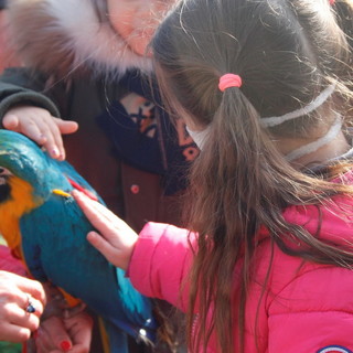 Giovedì prossimo gli alunni della Primaria di Cervo alla scoperta del centro 'Terra di Confine' a Taggia