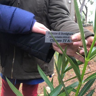 Le immagini dalla pineta di Bordighera