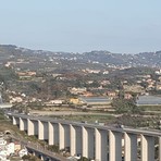 Autostrade liguri, Confagricoltura: “Situazione insostenibile. Subito un tavolo con Regione e concessionari” Autostrade liguri, Confagricoltura: “Situazione insostenibile. Subito un tavolo con Regione e concessionari”