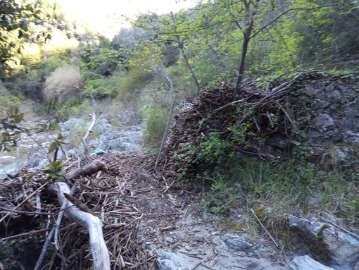 Ventimiglia: sentieri non curati, Alternativa Intemelia lancia iniziativa per promuovere tracciati da recuperare
