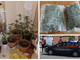 Sanremo: blitz dei Carabinieri, trovata una serra di marijuana allestita in camera da letto. Arrestato 19enne