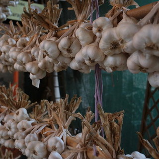 A Caraglio arriva la prima sagra della 'bagna caöda' fatta rigorosamente con l'Aj d'Caraj (Video)