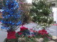 Bordighera: questa mattina alle 10 l'apertura del 'Villaggio di Natale' in piazza Mazzini Bordighera: questa mattina alle 10 l'apertura del 'Villaggio di Natale' in piazza Mazzini
