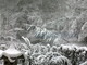 San Romolo: continua a nevicare copiosamente, un albero minaccia la corrente elettrica della zona