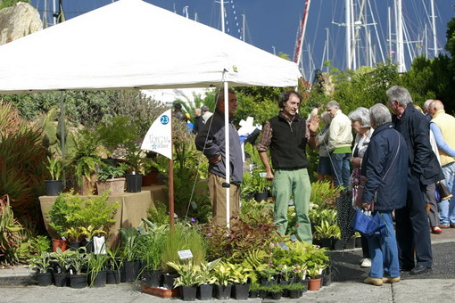 Tutto pronto per la quinta edizione di 'Aregai in fiore' che si svolge sabato e domenica prossima Tutto pronto per la quinta edizione di 'Aregai in fiore' che si svolge sabato e domenica prossima