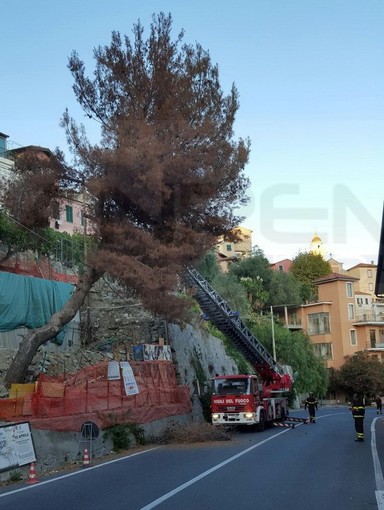 Ventimiglia: strada verso il confine di Ponte San Luigi chiusa per mezzora, intervento di VVF e Polizia