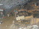 Ventimiglia: cavalli sul greto del Roya, Domenico Filippone dà ragione a Calvi Ventimiglia: cavalli sul greto del Roya, Domenico Filippone dà ragione a Calvi