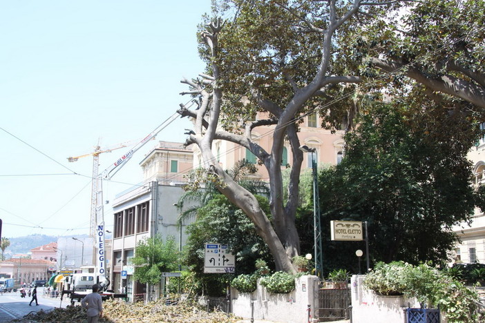 Sanremo: via Roma non riaprirà prima di domattina, questa notte bisognerà rifare anche l'asfalto (Foto) Sanremo: via Roma non riaprirà prima di domattina, questa notte bisognerà rifare anche l'asfalto (Foto)