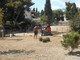Sanremo: terminato l'intervento di sistemazione dell'area cani di via Scoglio a San Martino (Foto)