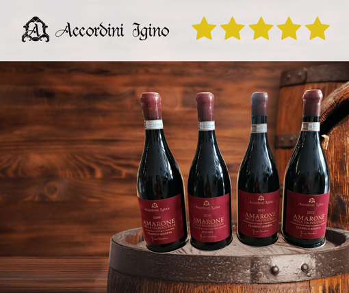 Il grande successo dell'Amarone della Valpolicella