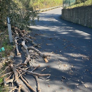 Le immagini da via Armea