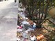 Sanremo: trascorso il weekend si ripropone il vergognoso degrado nelle aiuole sulla ciclabile in centro Sanremo: trascorso il weekend si ripropone il vergognoso degrado nelle aiuole sulla ciclabile in centro